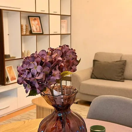 Belview Appartement Shkodër