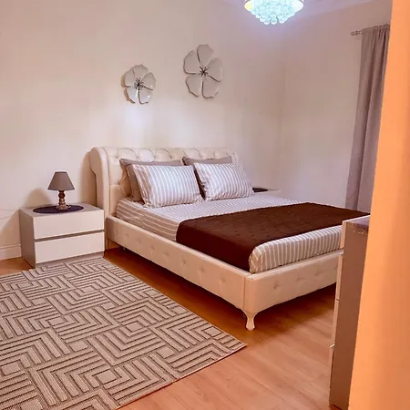 Belview * Shkodër